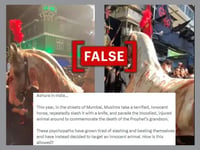 Was an ‘injured’ horse paraded in Mumbai on Muharram? No, claim is misleading