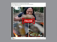 Visuals from Indonesian food vlog shared as 'Kuki man eating human flesh in Manipur'
