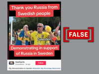 FIFA World Cup 2018 footage misattributed as Swedish pro-Russian protest