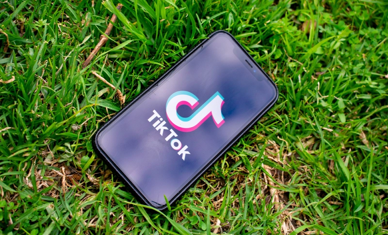 True: U.S. Republicans worry China might use TikTok to meddle in the presidential election.