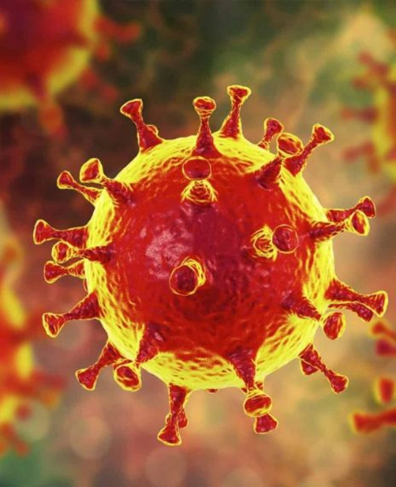 False: Thermal scanners are effective in detecting people infected with the novel coronavirus.