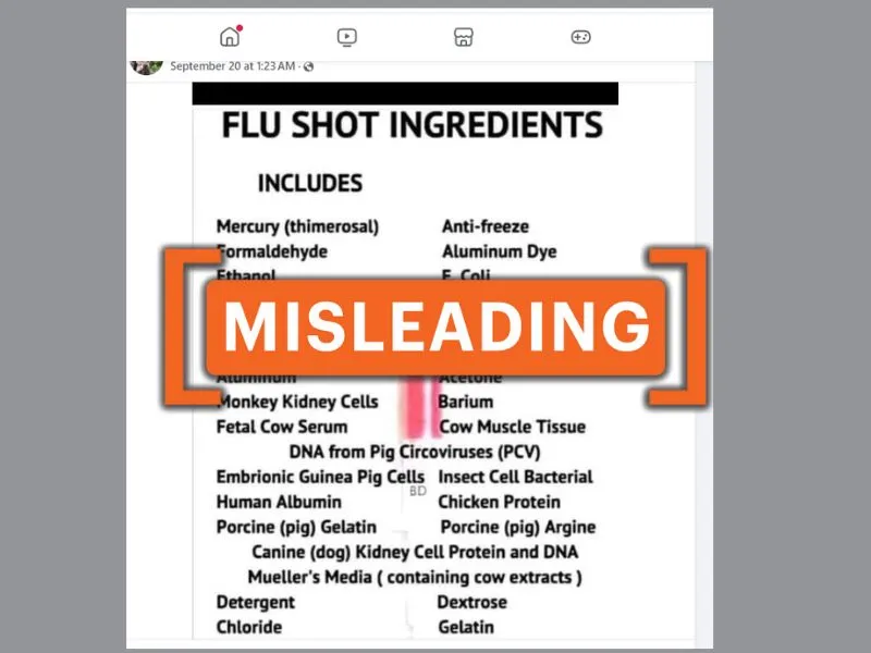 A misleading post on Facebook lists ingredients in a flu shot