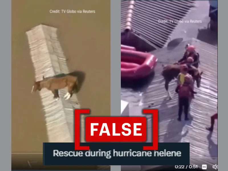 Old horse rescue video from Brazil falsely linked to Hurricane Helene