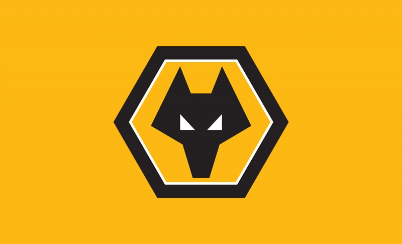 True: Wolverhampton Wanderers win over Honved at Molineux in 1954.