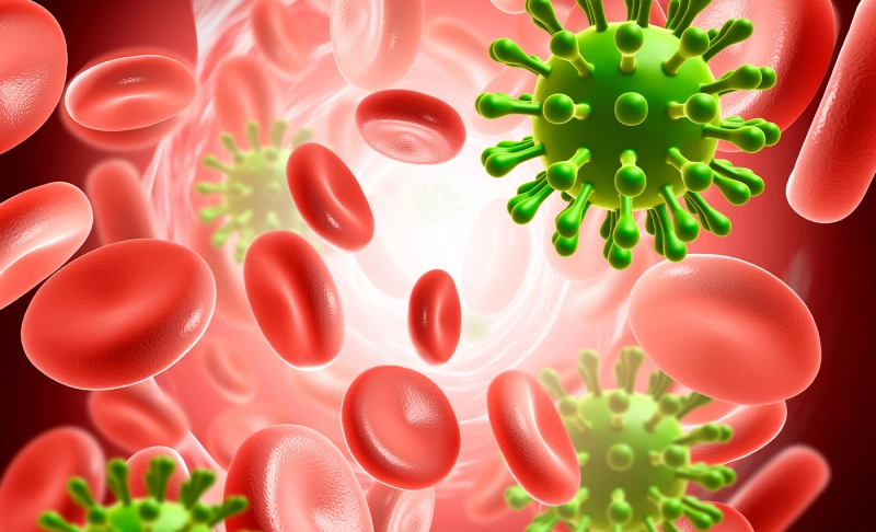 Misleading: Viruses become more transmissible and less-lethal after mutation.