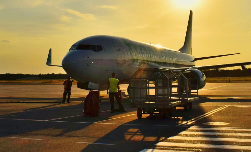 False: Fifty-nine percent of flights in China have been canceled due to a coup against President Xi Jinping.