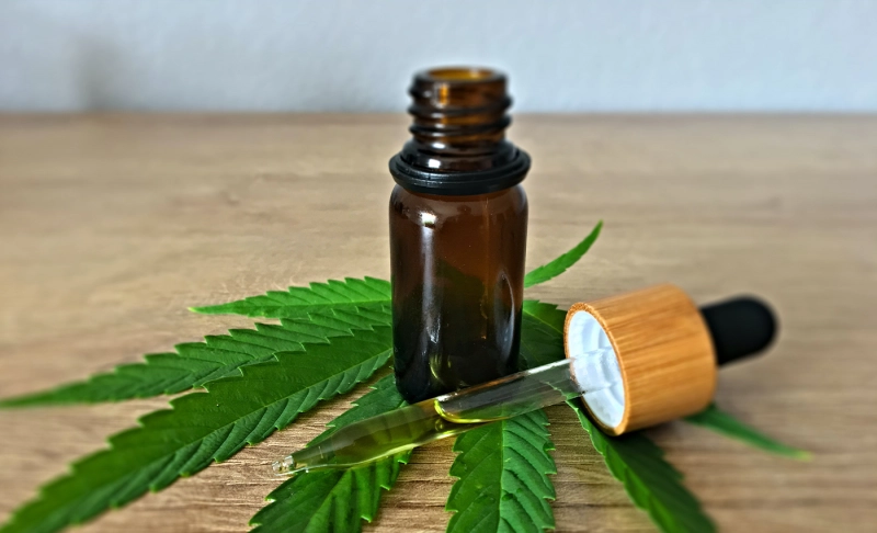 False: Rick Simpson Oil (a cannabis extract) can cure skin cancer.