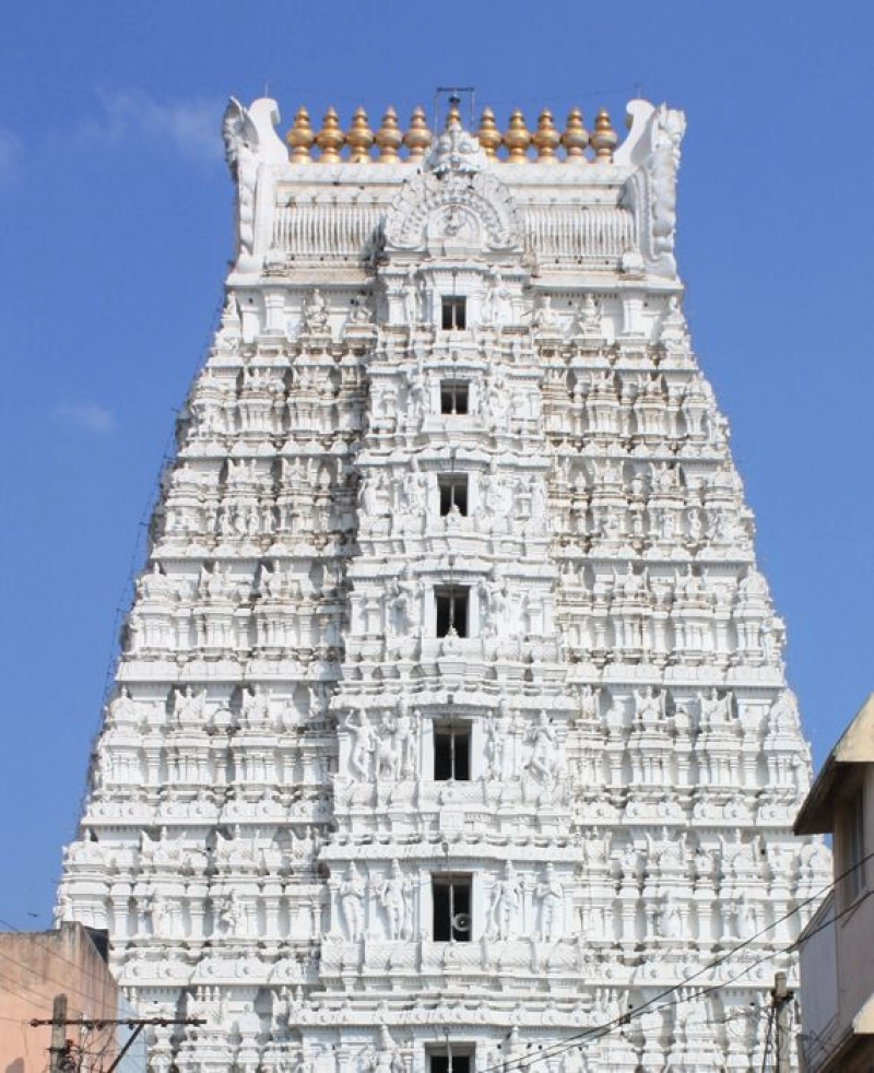 False: Pieces of meat thrown into a temple in Karnataka by Muslims.