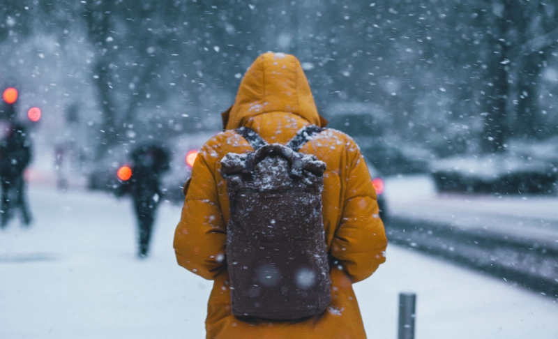 True: UK witnessed coldest Monday in nearly 40 years as thermometers hit zero degrees.