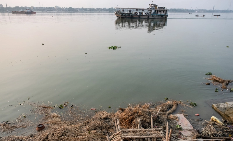 True: Several dead bodies were recovered from the river Ganga in Bihar and Uttar Pradesh.