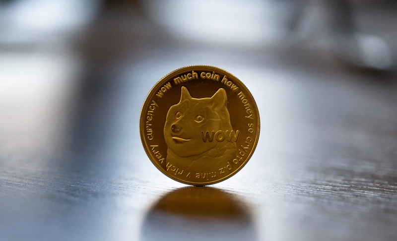 False: Dogecoin's price has risen by more than 900 percent since March 2021.