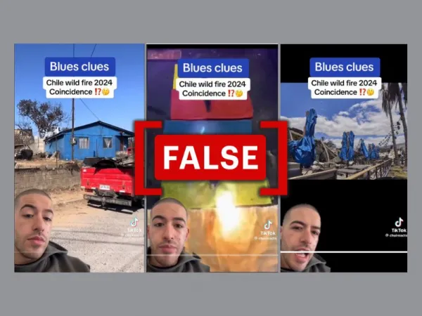 Claim that only ‘blue objects’ survived Chile wildfire is false