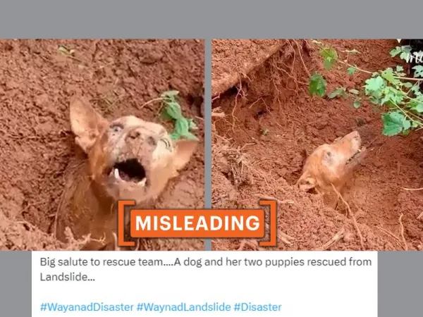 2021 video shared as dog being rescued after recent landslides in Kerala's Wayanad