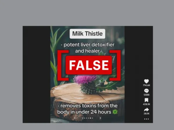 No, milk thistle cannot detox your liver