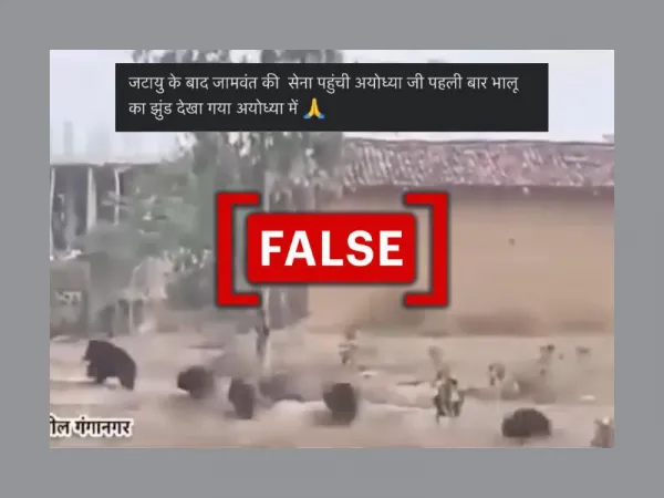 भालुओं के अयोध्या पहुंचने के दावे के साथ शेयर किया गया यह वीडियो मध्य प्रदेश का है