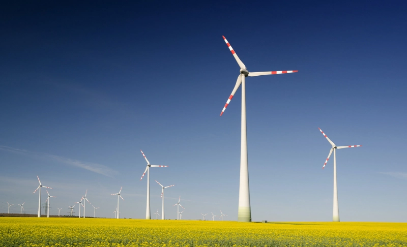 Misleading: Frozen wind turbines caused the Texas blackout.