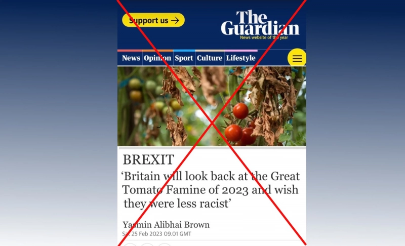 False: An image shows an article published by The Guardian about a tomato famine in the U.K.