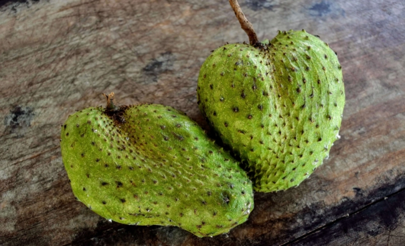 False: Soursop is a fruit that can cure cancer.