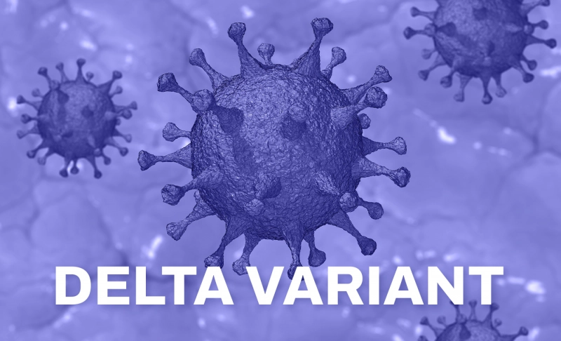 True: The Delta variant is 2.5 times more likely to lead to hospitalization than the Alpha variant.