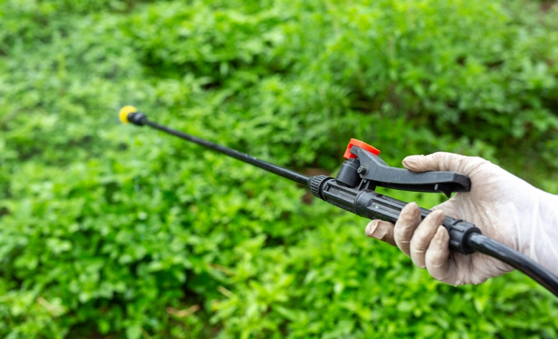 True: The United Kingdom operates double standards on banned pesticides.